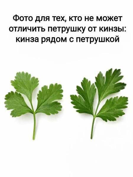 � ��� ��� ������ ����� ��� ��������?