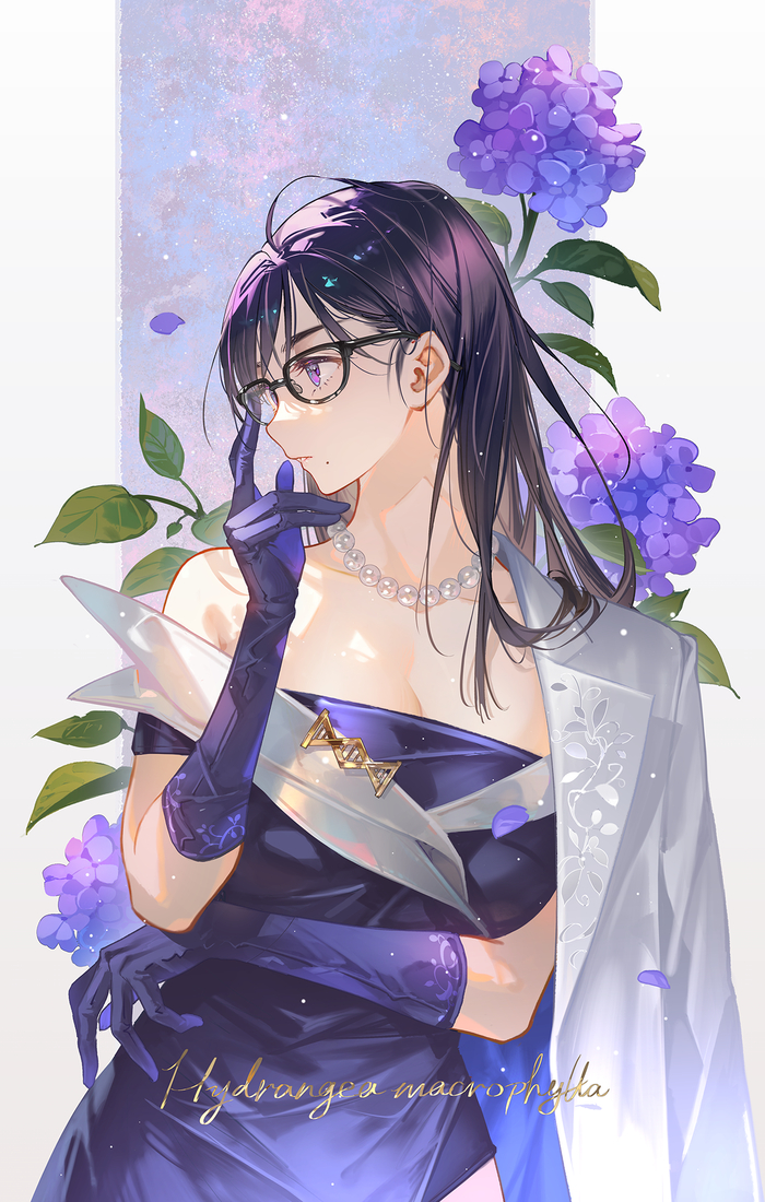 Hydrangea macrophylla (��������� �������������)