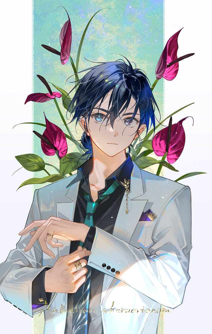 Anthurium scherzerianum (�������� �������)