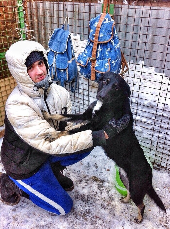 А это фото ещё из приюта. Обратите внимание-брови белые. Дома почернеют.