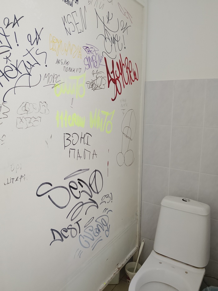 Пов туалеты в больницах поликлиниках и в школах