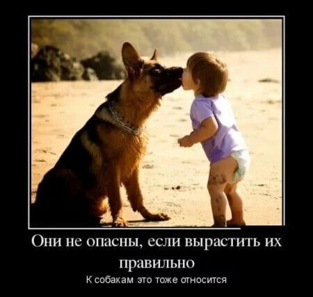 � ������� ���� ������