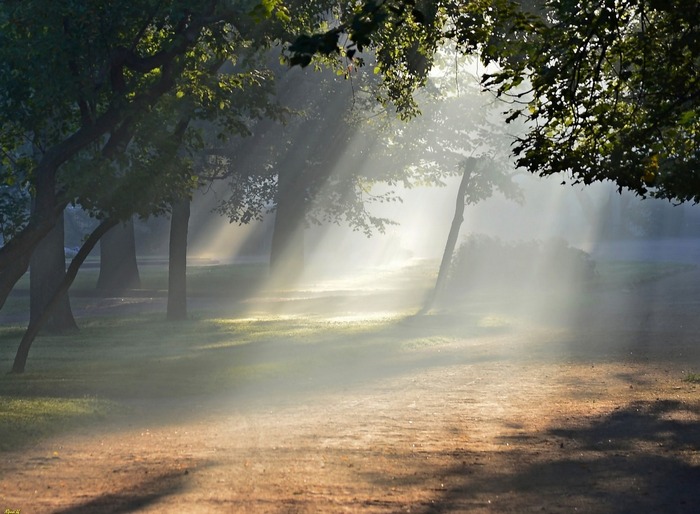 ������ ����