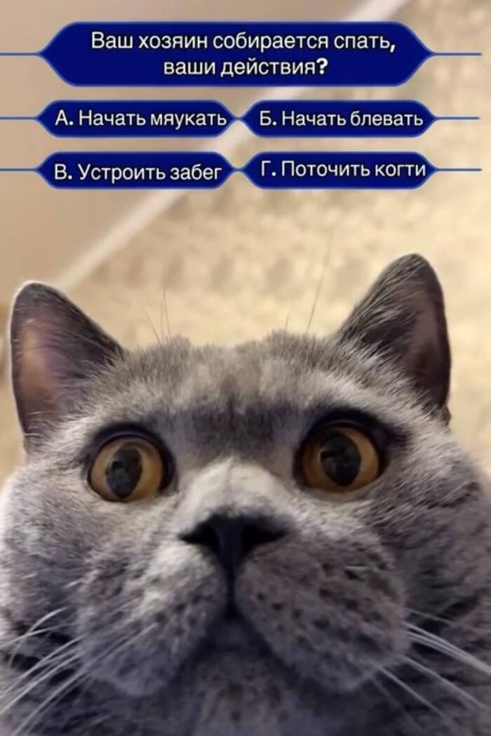 �. ��� �����
