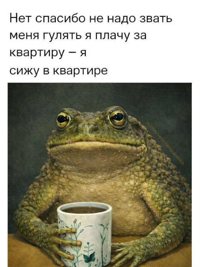 <a href="https://pikabu.ru/story/zachem_vyikhodit_iz_kvartiryi_esli_ona_ne_gorit_13745521?u=https%3A%2F%2Fvk.com%2Fvetochkinpalochkin%3Fz%3Dphoto822090804_456240738%252F2ba472e75414c1d7ba&t=%D0%92%D0%B7%D1%8F%D1%82%D0%BE%20%D0%BE%D1%82%D1%81%D1%8E%D0%B4%D0%B0&h=d93190782b186f1769fb6c2649e5d7b4198e9874" title="https://vk.com/vetochkinpalochkin?z=photo822090804_456240738%2F2ba472e75414c1d7ba" target="_blank" rel="nofollow noopener">����� ������</a>