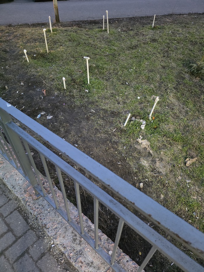 ����� ������!