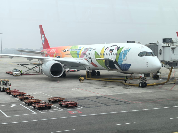 Панда-самолёт