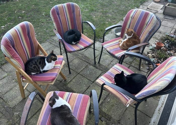 ��� ��� - ��������� ������ ������� �������������