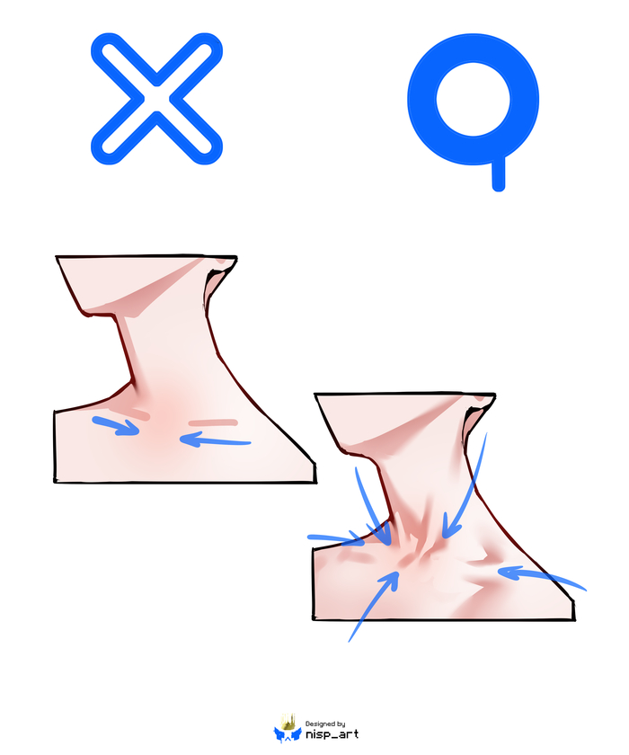 Шейные мышцы