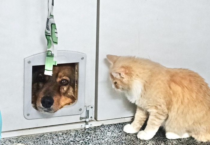 ����� � �����