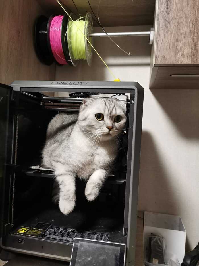 ����� ����� 3D �������?