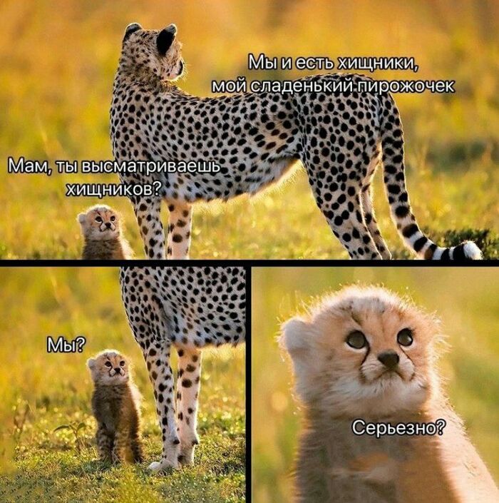 �� ���� ��������