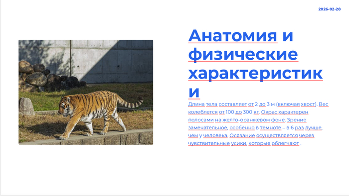 Результат генерации