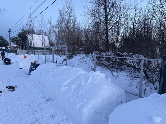 ��� ��� �������� ������ ������