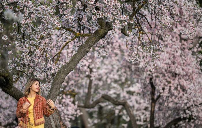 � ����� �����-��-���-������� � ������� ������� ���������� �������//����: Marcos del Mazo/LightRocket via Getty Images