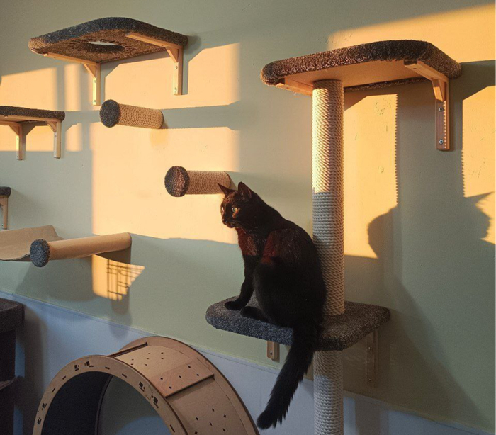 ���� ���� ����� �������������