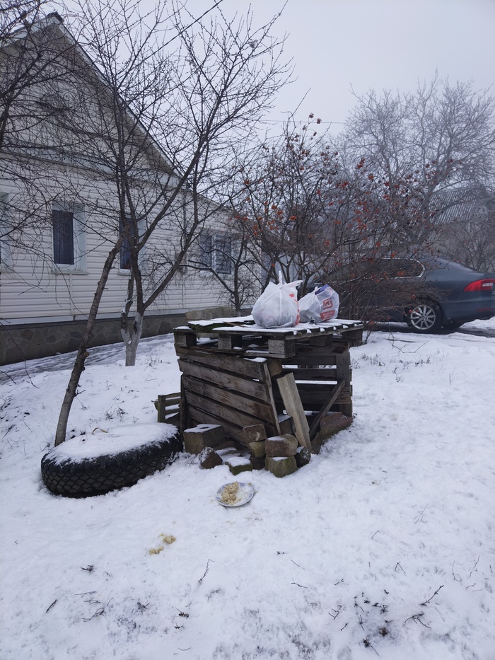 � ������ ���� (�����, ��� � ������� �������� ���, � ������ �����������).