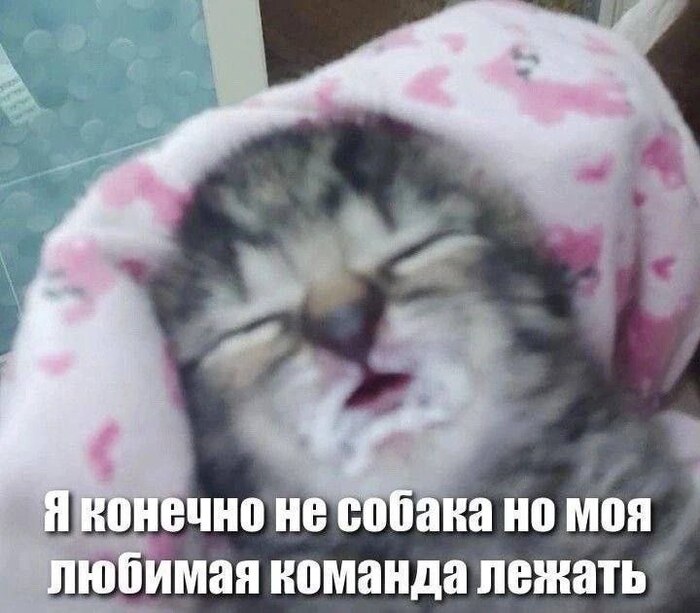 Лежать и спать