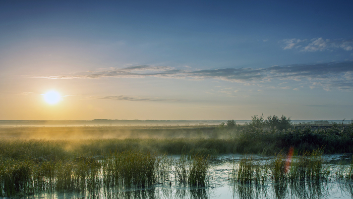 �� ��������