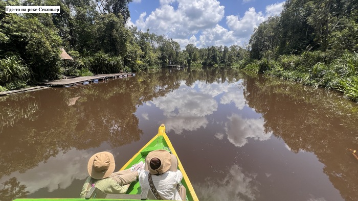 Плывем в парк Таджунг Путинг на Калимантане