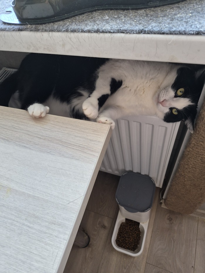 ������, ����� ���� �� ��� ���������