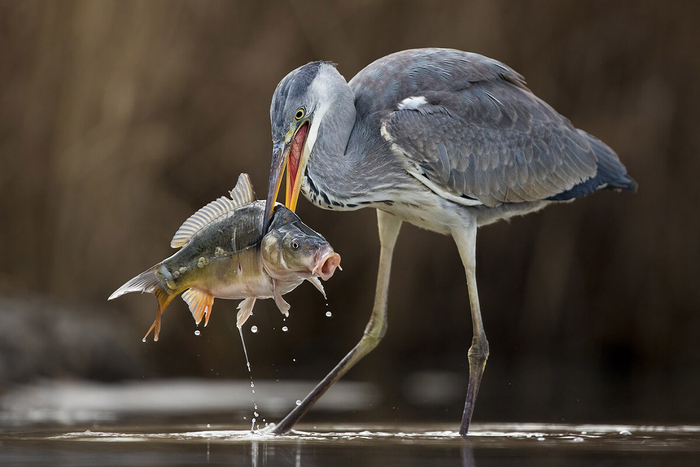 �� ��� ����� ����� ������, ��� ��� ��������� ���. ���� ������ � ������!