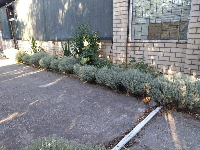 ��������� ��������������.