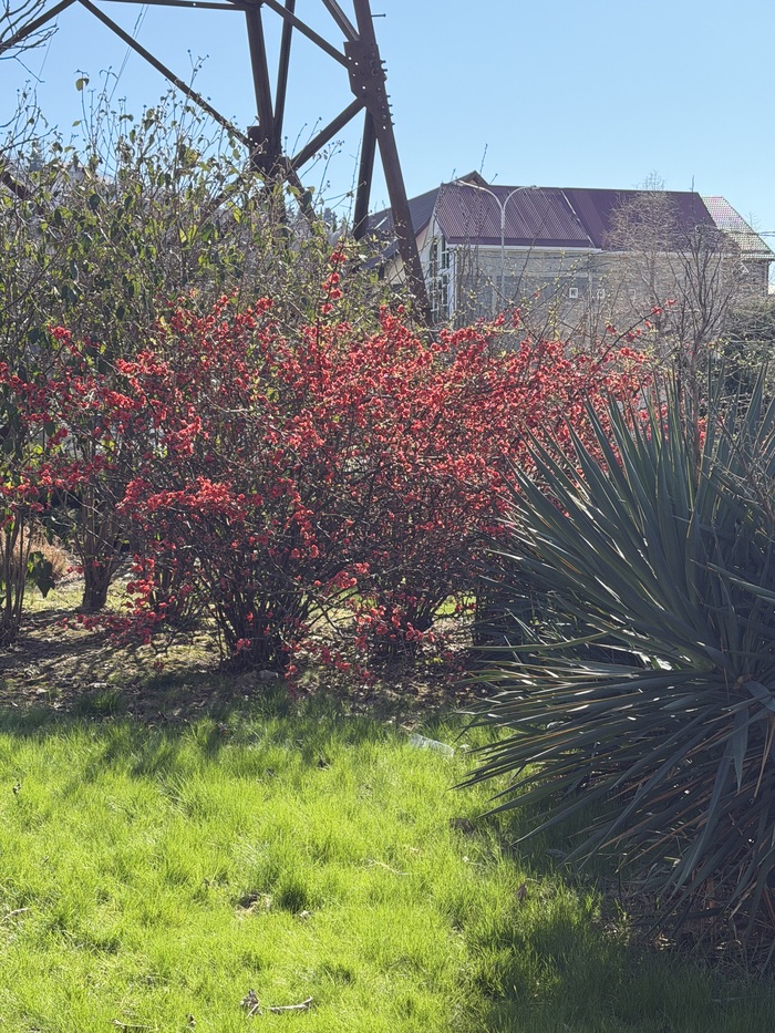 ���� ���� �������� ���������.