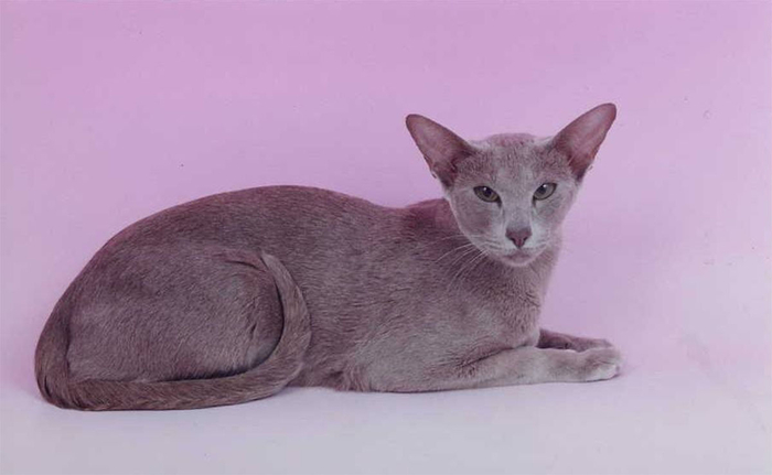 ������������ ����� �������� ������.