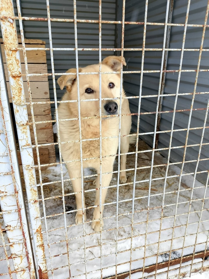 ����! ������� ����� �� ����� ����� ���?!!