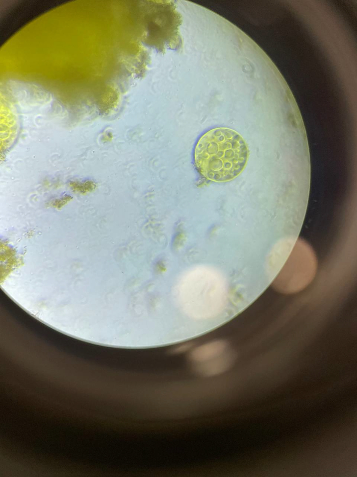 �� ���� �������� �������� �����, � ������� ��������� � ���������� ������ ��������� - ��� ���� �� ������� ������.