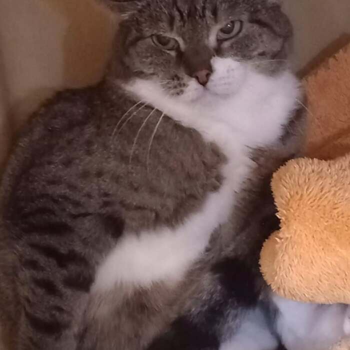 ����� ���� ���