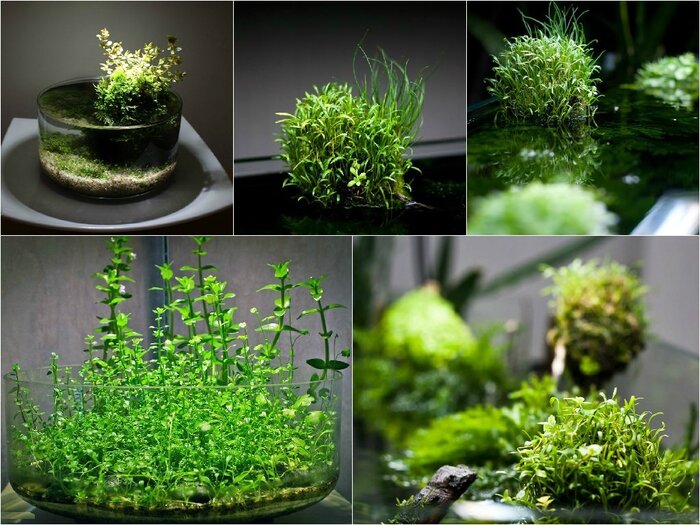 ������ ���� � ���������: ��� ����� ����-���� � ������ ��� ����� �������