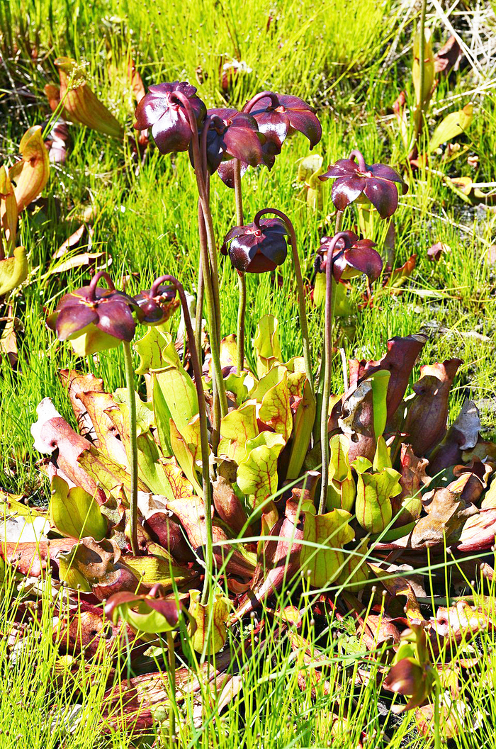 �������� ���������� ���������. ���� �. �����.