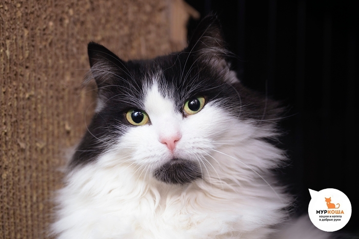 ����� ������, 6 ���, ������� �� �����. �������������� ���. �������������� ������������ ������ ��� � ����� � �������-���������� ���. ��� �� ������ ��� �������� � �������� ������ ����� � �� ���������� ��.