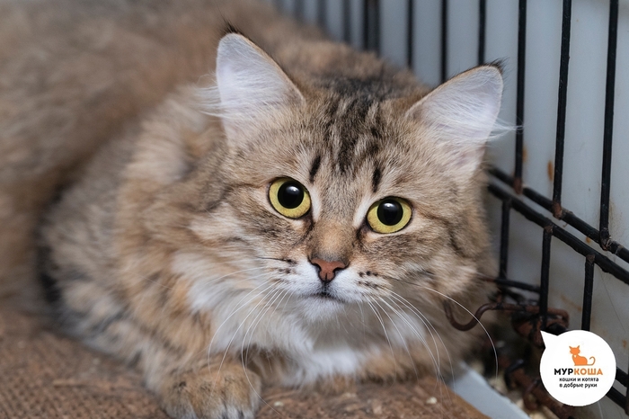 ����� �����, 1 ���, ������� �� �����.