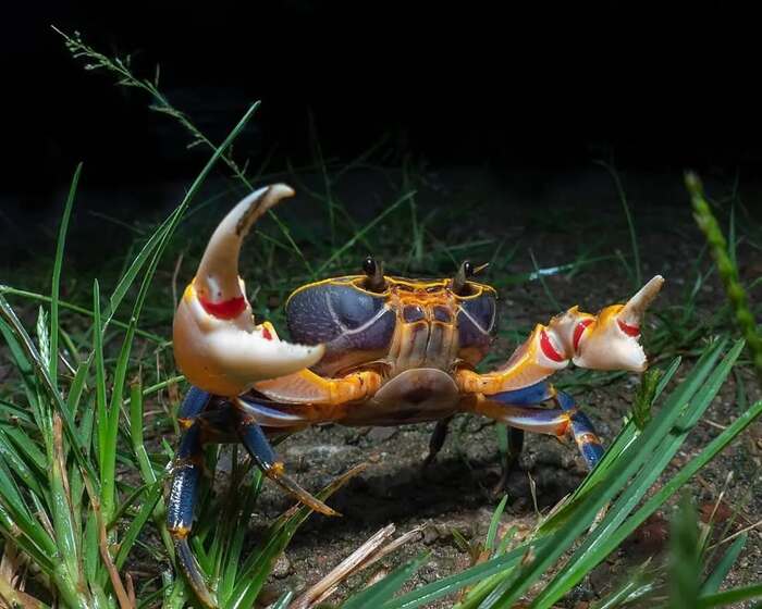 ���������� ����