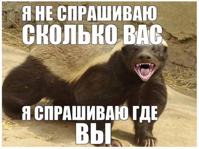 ���� � ��������� ����� ���������� �������