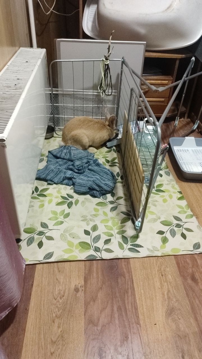 �������� � �����������.