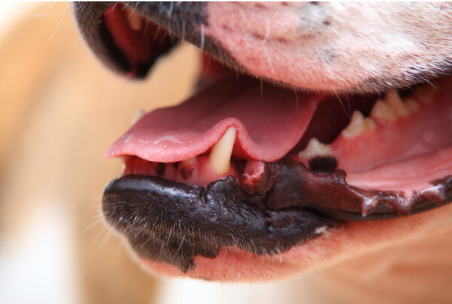 � ������ ���� ��������� ����� �������� �������