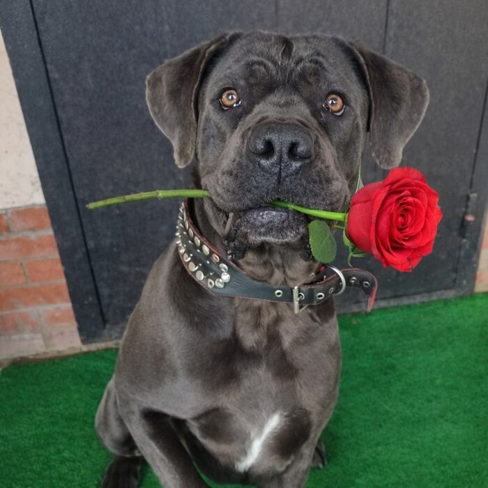 �������� ����������� � ����������� 8 �����