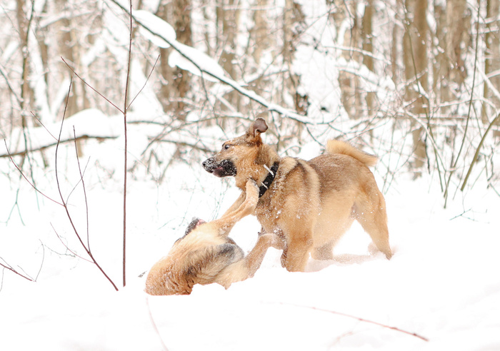 � ��� �������� � �� ��������� �� ����������