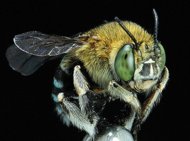 ����� ������� ������ � ������ ����� � ������������� ����� ����.