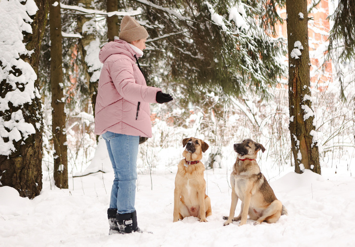 ��, ��! �� ��������!