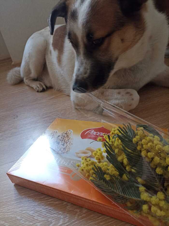 �������� ����, ���� ��� ������������ ��