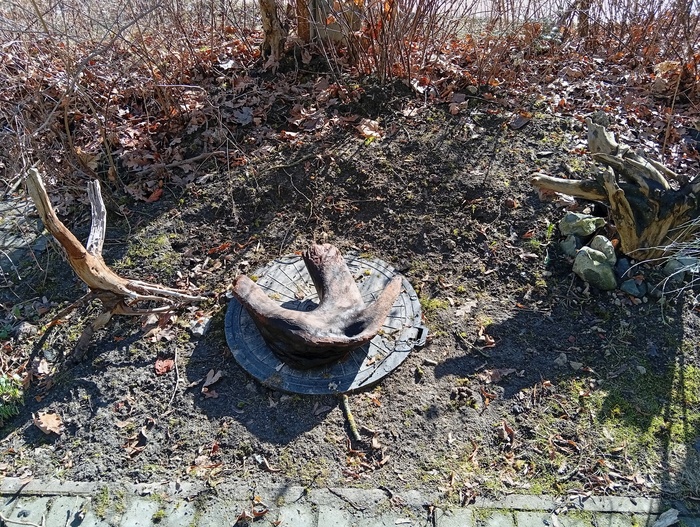 �� ������ �� �����? ����� ������� �� �������? ����������!))