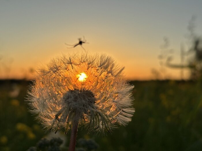 Невесомость мгновения