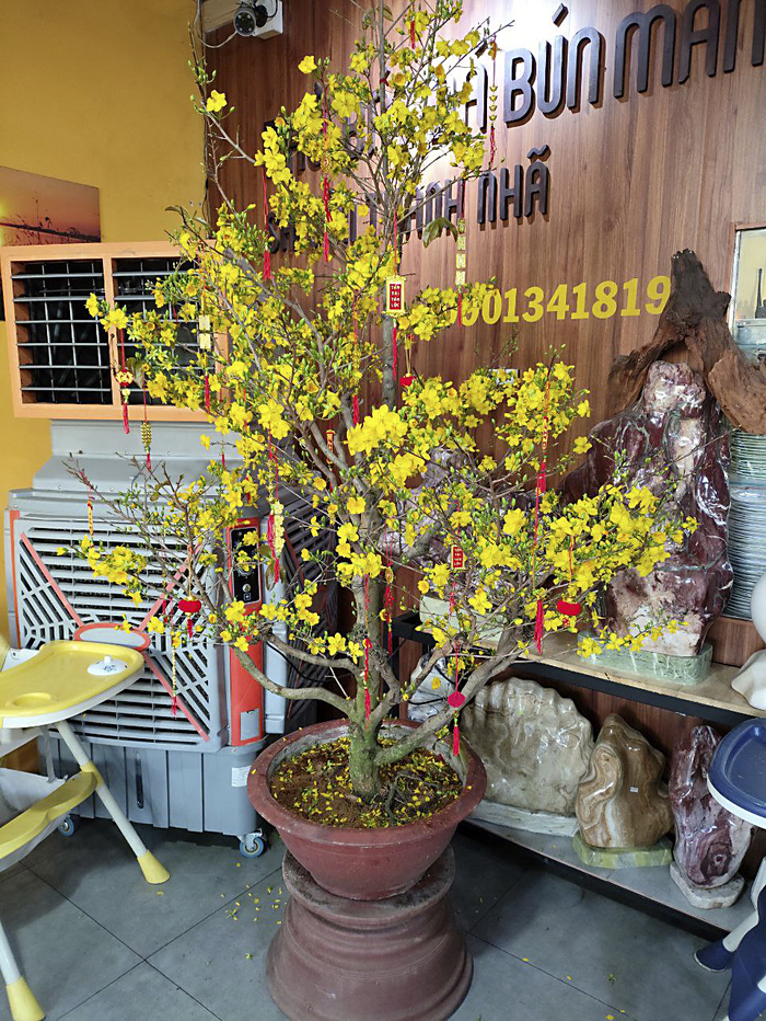 ������ �� ����, �������. ���� �. ����������.