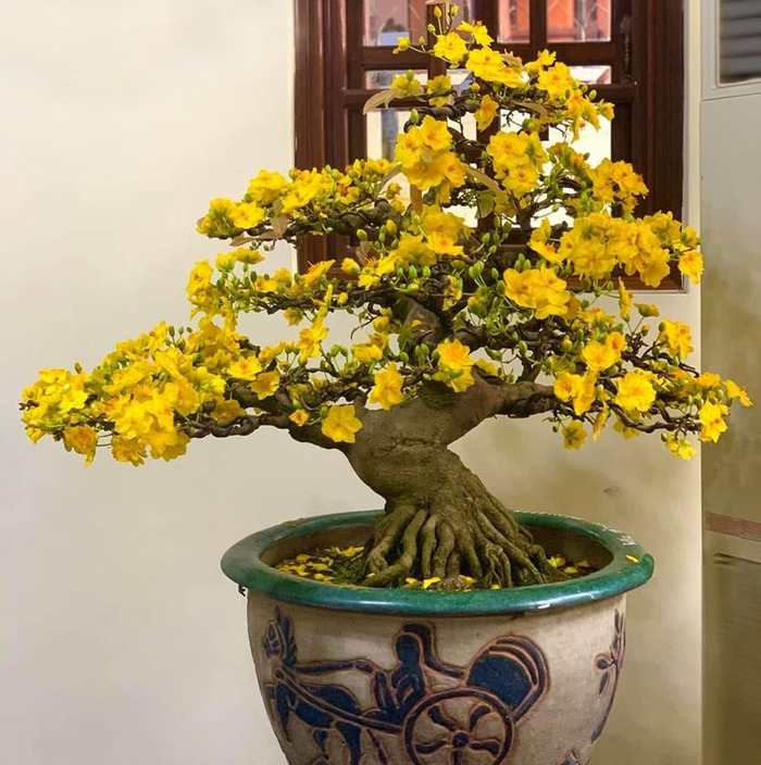 ������ �� ����. ���� � ����� <!--noindex--><a href="https://pikabu.ru/story/vostochnyiy_novyiy_god_i_okhna_13761745?u=http%3A%2F%2Fbonsaiempire.vn&t=bonsaiempire.vn&h=f28e5f98f9021e0101f3894c299107d492f8d5e7" title="http://bonsaiempire.vn" target="_blank" rel="nofollow noopener">bonsaiempire.vn</a><!--/noindex-->.