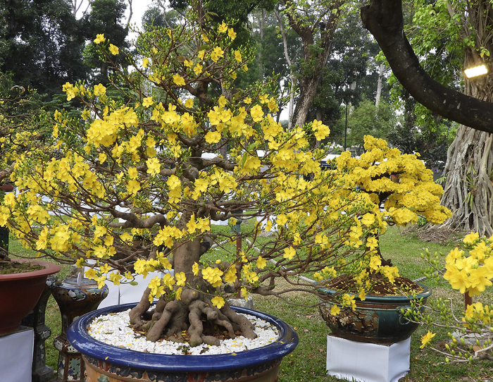 ������ �� ����, �������. ���� �. ����������.